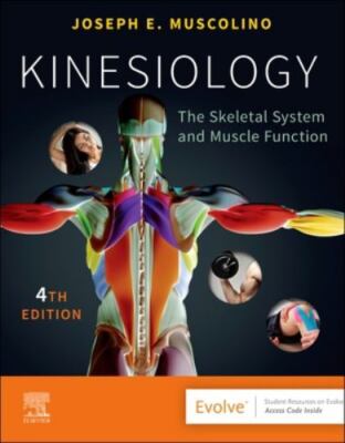Kinesiology: The Skeletal System and Muscle Function by Muscolino DC, Joseph E.