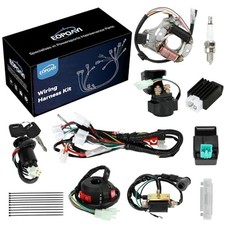 Complete Wiring Harness Kit for Tao tao Coolster 110cc Chinese ATV