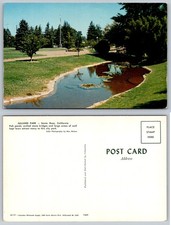 Vintage Julliard Park Santa Rosa CA Postcard Pond Trees Max Mahan Photography