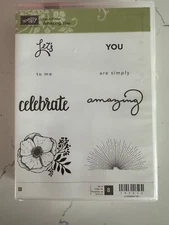 Stampin up! Set of 8 Stamps Amazing You Celebrate Amazing Flower Let's Scrapbook