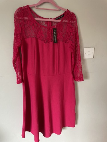 BNWT Womens Fit And Flare Skater Dress Size 16 Pink Knee Length Lace Wedding - Picture 4 of 18