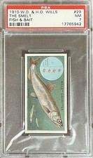 1910 W.D. & H.O. THE SMELT Fish & Bait #29 PSA 7 NM