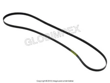 AUDI A8 QUATTRO (2003-2006) Belt - 7K X 2535 Contitech +1YEAR WARRANTY 