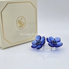 Swarovski SCS Jahresfigur 2026 Idyllia Kronen Anemonenblüte Coronaria 2 5717850