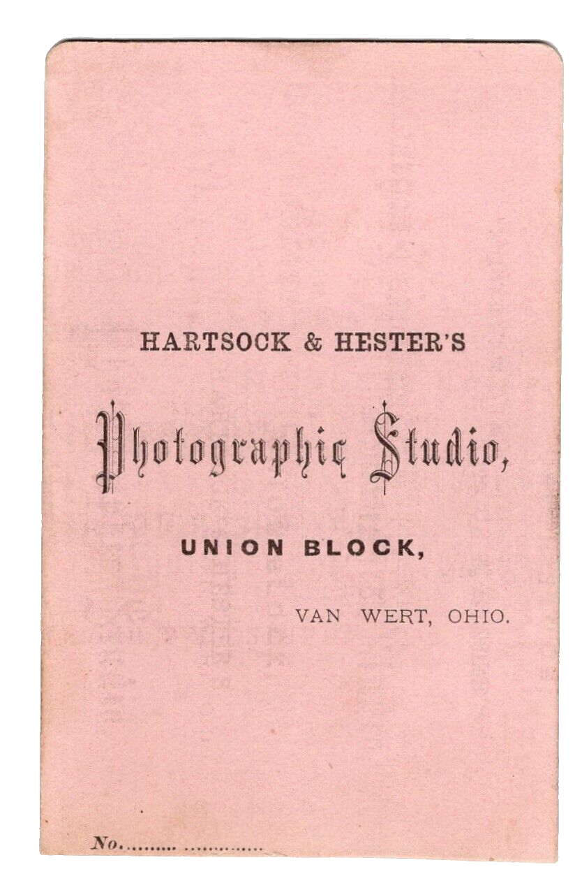 VAN WERT OHIO 1870s Victorian Young Man Curly Hair Plaid Tie PINK CDV