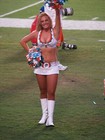 Miami Dolphins Cheerleaders 8"x 10" Photo