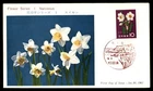Mayfairstamps Japan FDC 1961 flower series 1 daffodil First Day Cover aaz_03755