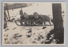 3 ragazzi su slitta 1931 - Vecchia foto anni '30