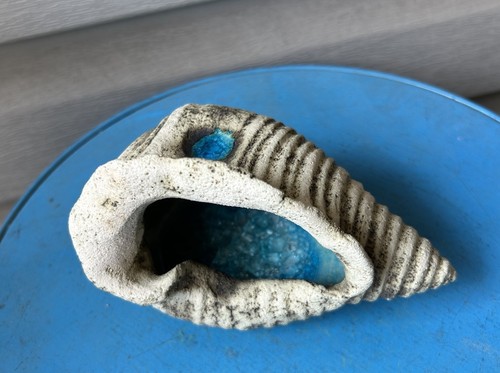 Seashell Blue Crackle Glass Stone Concrete Art Sculpture Figurine Signed 5.5”