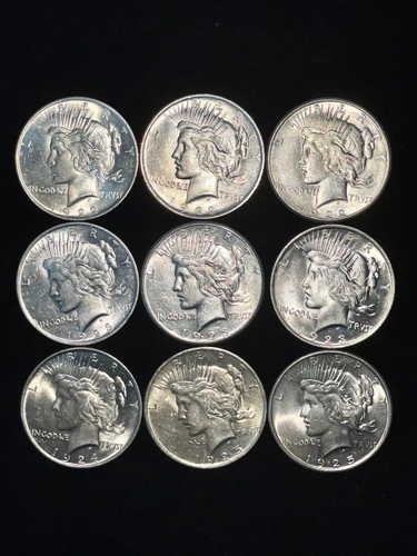 1921-1935 Peace Dollar Culls Mixed Dates Lot of 5 Coins Free Shipping!