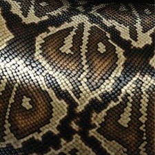 Snake Skin Vinyl Wrap Air Release Matte Finish 12x12