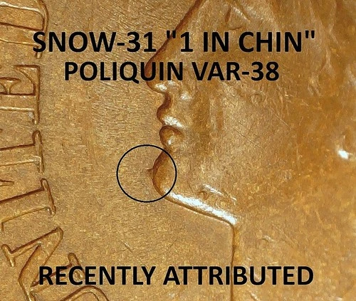 1901 Indian Head Cent - AU++ SNOW-31 / POLIQUIN VAR-38  "1 IN CHIN" (M663)