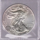 Silver 2014 American Eagle 1 oz. Fine .999 US oz