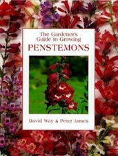 Penstemons by Way, David
