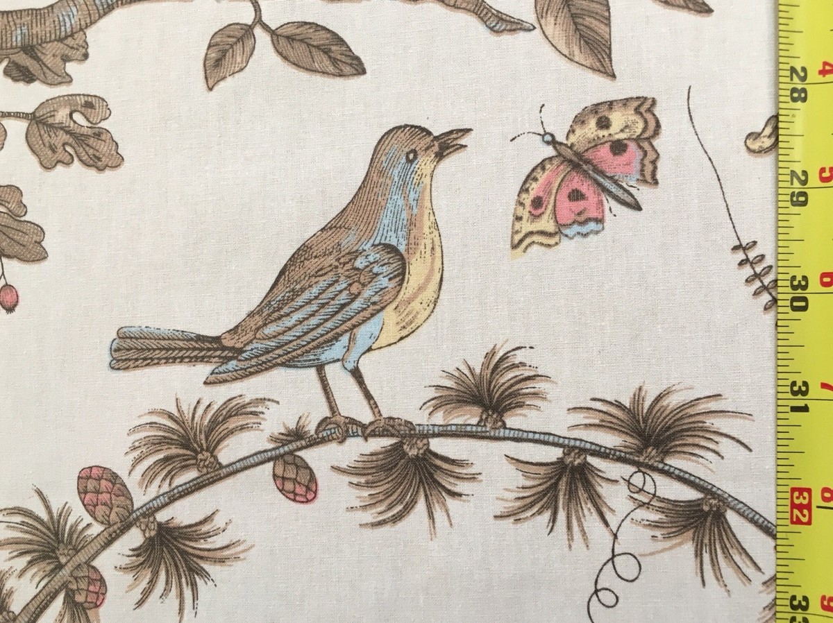 2Y Brunschwig & Fils Bird & Thistle Print Beige MSRP USD 316/Y