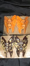 2 sets of 4 Vintage Ceramic Macrame Beads Butterfly Butterflies NOS Groovy Beads