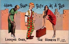 Have Been Busy as a Bee Looking Over the Honeys Girls Ladies Humor Postcard