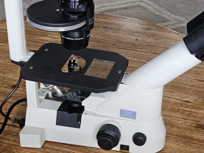 Nikon Eclipse TS100 Hoffman Modulation Microscope