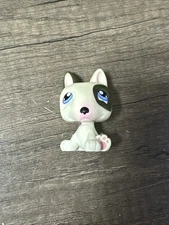 Littlest Pet Shop White Black Bull Terrier Dog Blue Eyes No #