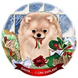 Pomeranian Cream Dog Porcelain Ornament Pet Gift 'Santa. I Can Explain '