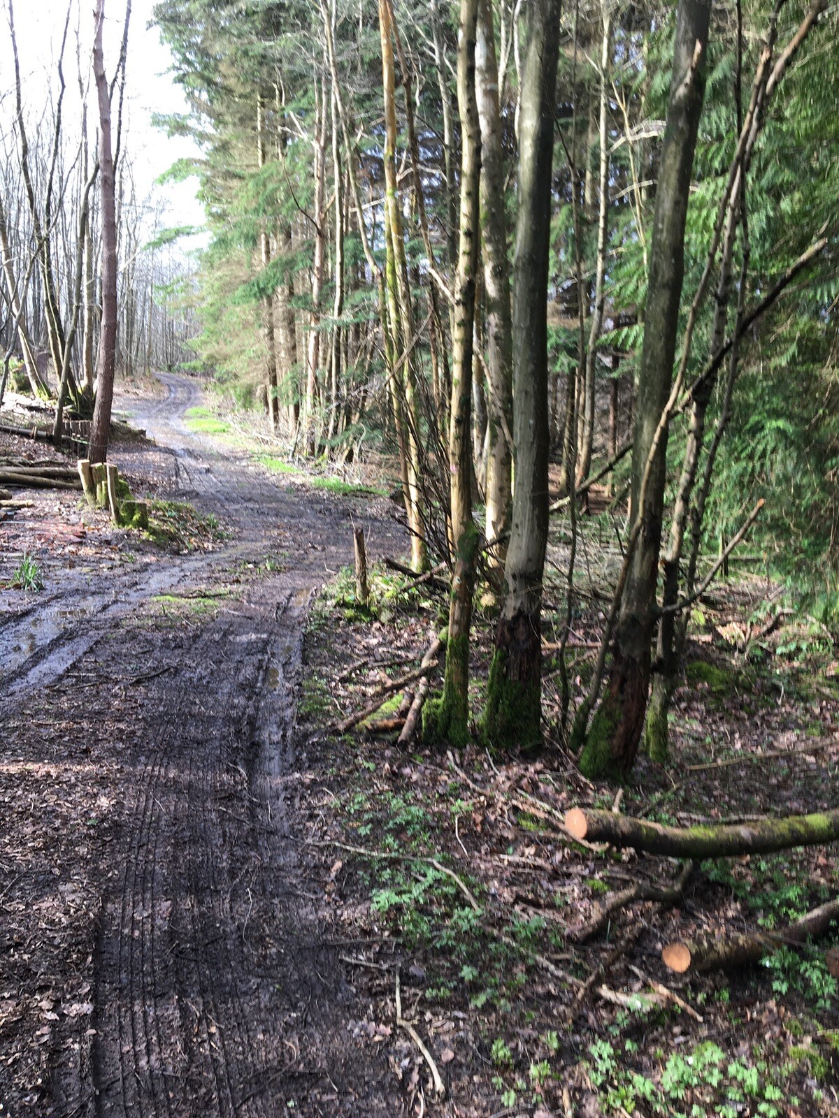 LAND FOR SALE EAST SUSSEX UDIMORE TN316FU eBay