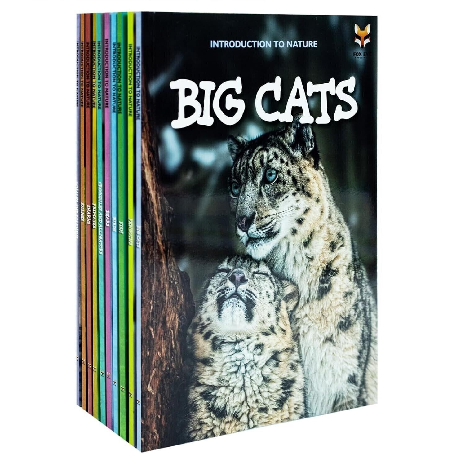 Children Introduction to Nature for Beginners 10 Books Collection Set by Fox Eye