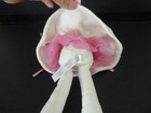 Bild 5 von 6