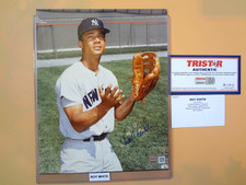 ROY WHITE NEW YORK YANKEES AUTOGRAPH PHOTO 8 X 10 TRISTAR COA