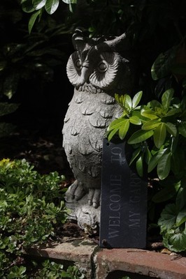 Eule Garten Ornament Beton Stein Statue Skulptur, CHARMANTE GARTENEULE WEITES AUGE