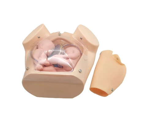 Advanced Medical Teaching Series Model Delivery Childbirth Mechanism Manikin - Picture 8 of 11