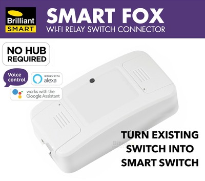 brilliant google assistant