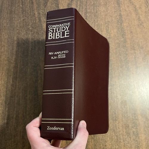 NIV 1984 / Amplified 1987 / NASB 1995 / KJV Parallel Bible Bonded