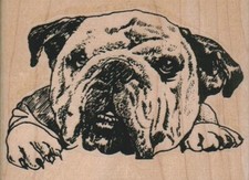 BullDog Head 3 3/4 x 2 3/4" Rubber Stamp, Dog Stamp, Dog Lover Stamp