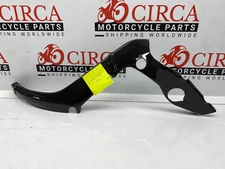 BMW M1000 RR / S1000 RR Ilmberger Carbon Frame Cover - left