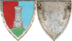 Foreign Legion, 1st R.E.c., Combat Command, Light Blue, 2 Rings, Dragon