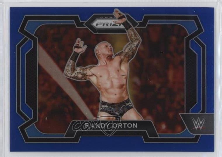 2024 Panini Prizm WWE Blue Prizm 104/199 Randy Orton #17 1co7