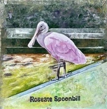 Original Oil Painting Tropical Pink Bird Nature Wildlife Animal Art Realistic