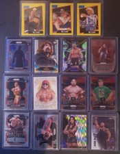 Perfect Lot Of WWE Wrestling Cards All In Excellent Condition!