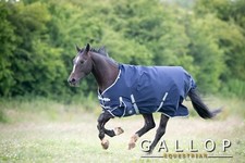 Gallop Trojan 300g Heavyweight Winter Turnout Rug with Std Neck Horse Pony
