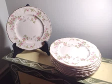 Eight Vintage Syracuse Stansbury  8"   Plates Made In USA Flowers gold trim