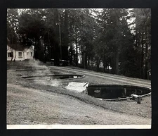 1946 Seward Park Washington Fish Hatchery Grounds Ponds WA Vintage Press Photo