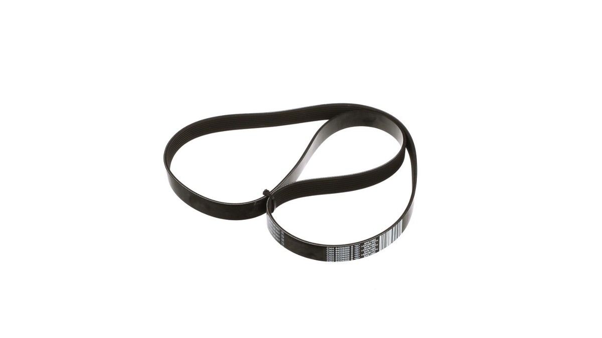 84229205-Belt 28.28mm W x 1682.50mm L, 8 Ribs For New