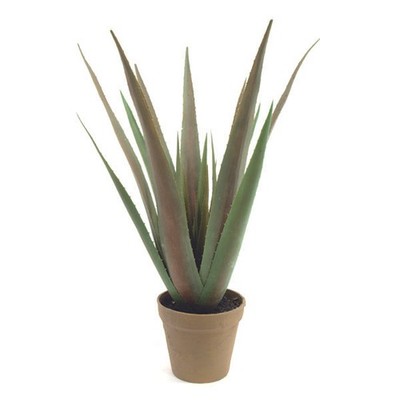 artplants Deko Aloe Vera Pflanze im Übertopf, 18 Blätter, 55cm