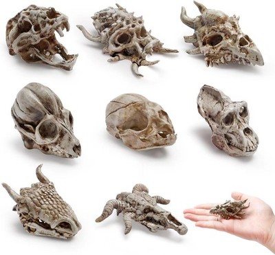 8 Stück 2,3 Zoll Tierschädel Figur Resin Mini Skulls Dinosaurier Alien Schädel