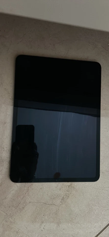 IPad Pro (11”) 1º Gen (256 GB) Argento - Immagine 2 di 4