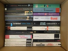 21 Bücher Romane skandinavische Krimi Thriller Psychothriller Top Titel