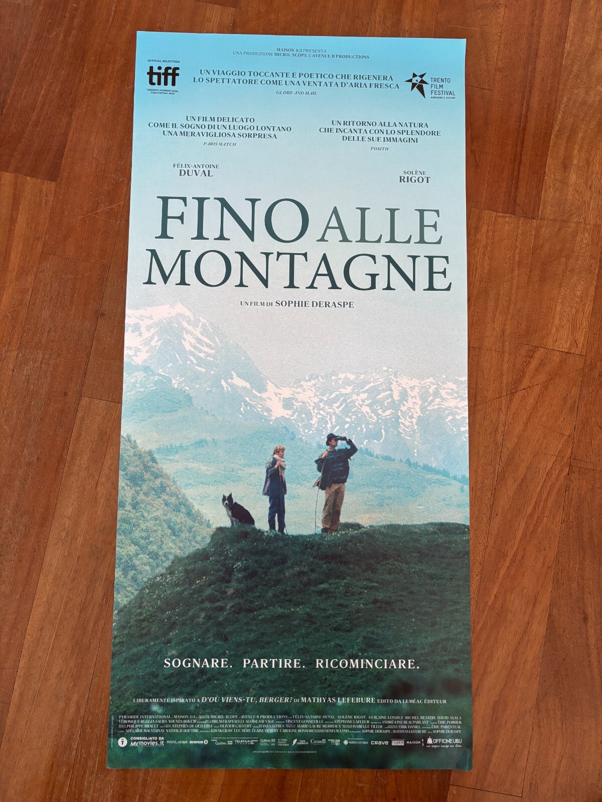 Locandina di Fino alle montagne (2024)