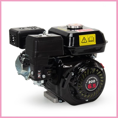 4Stroke 6.5HP Engine Single Cylinder Air Cooled For Small Agricultural Machinery