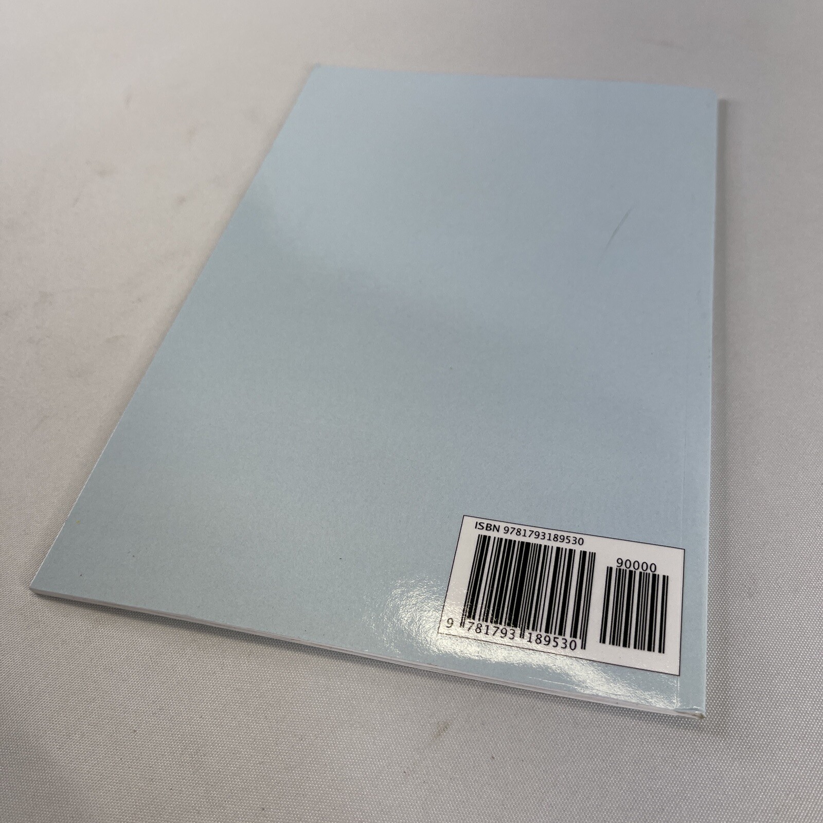 Noise A graphic novel based on a true story by Raymundo, Kathleen Book