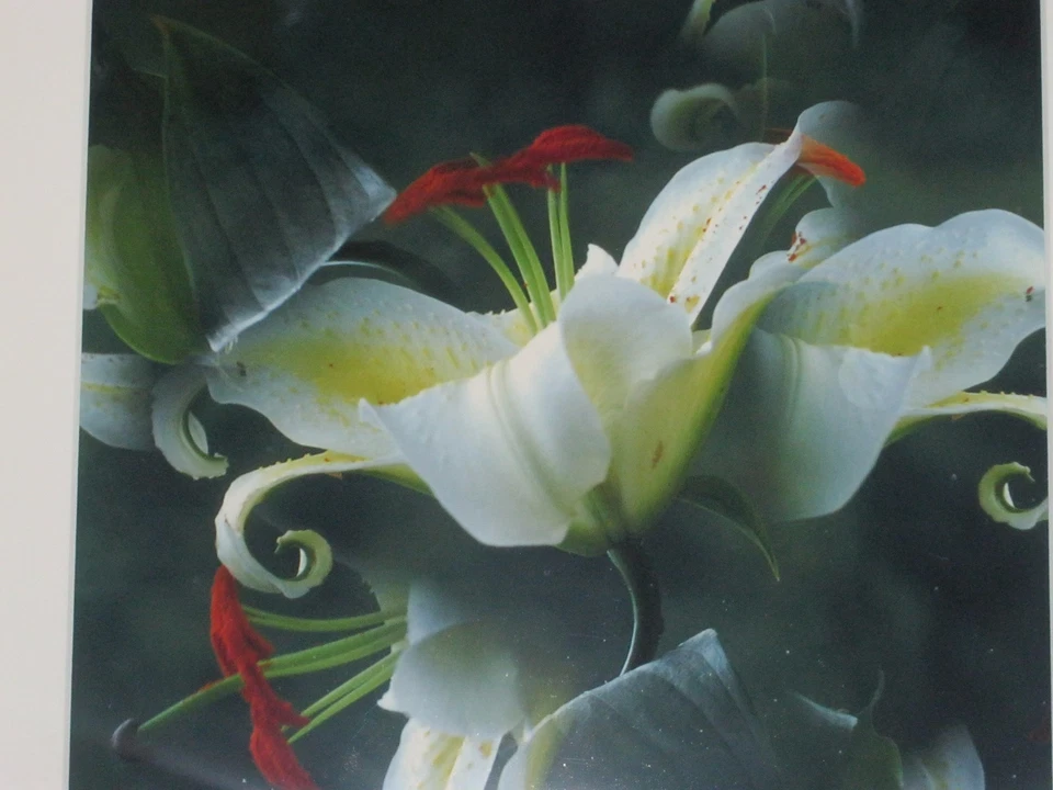 Винтажная подписанная фотография «Дрифтинг» Нэнси Нобл Гарднер в списке - Изображение 2 из 4